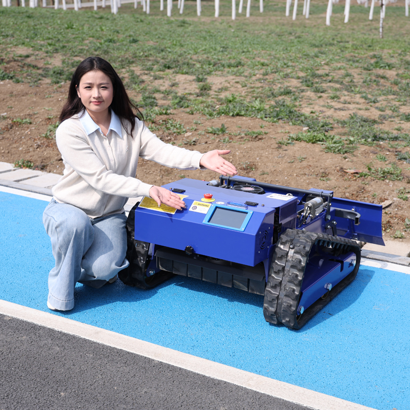 Customized Cordless Electric L - огляд і ціна Gardening Tools Lawn Mower