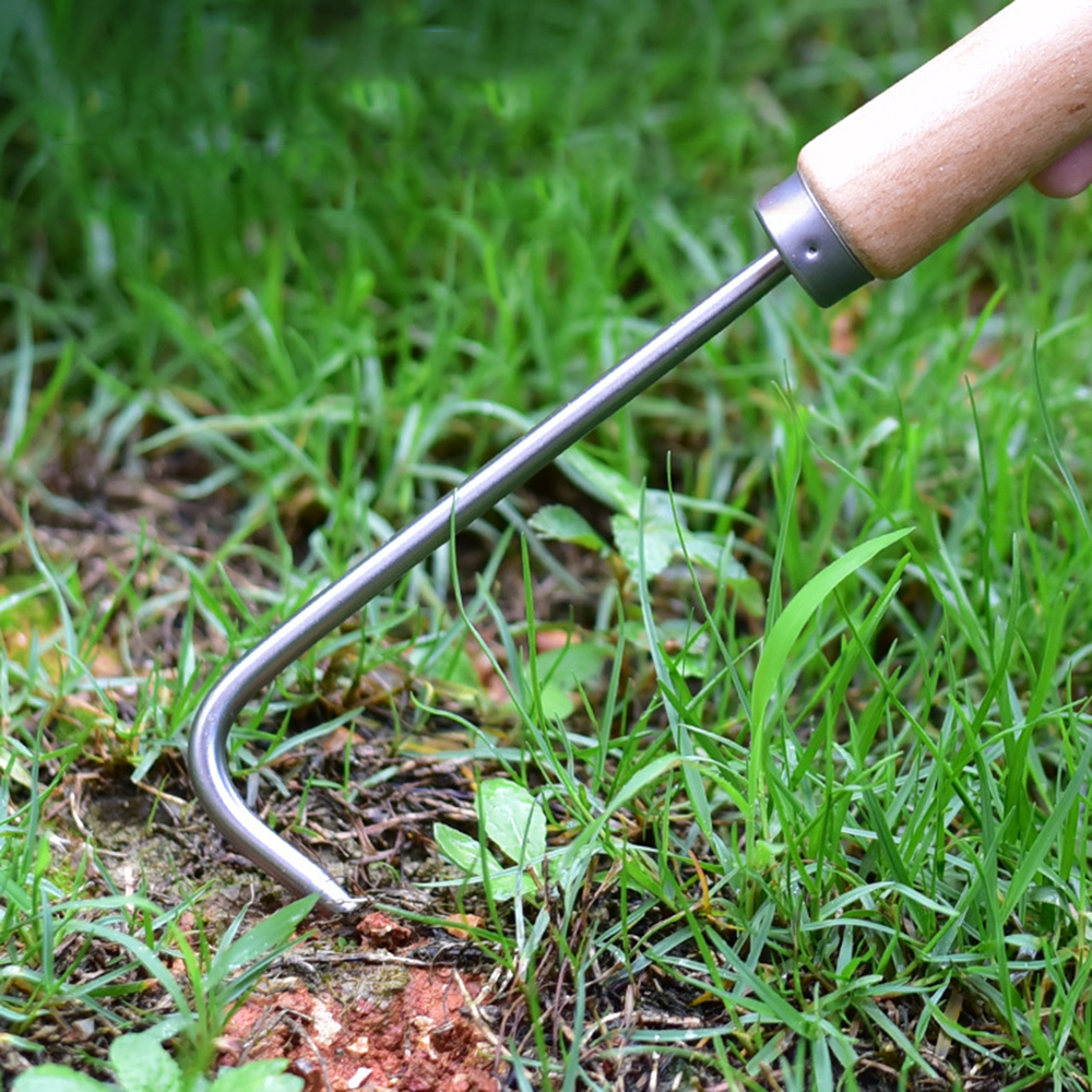 1PC Single Claw Hook Soil Loos - огляд і ціна Grass Seed Spreader