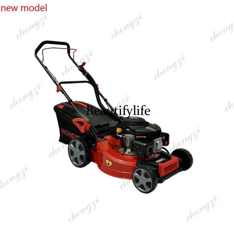 N138Lawnmower 40V Cordless Law - огляд і ціна Gardening Tools Lawn Mower