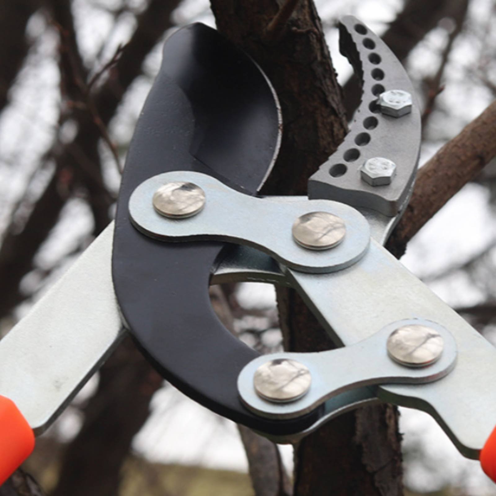 Telescopic Branch Pruners Shar - огляд і ціна Gardening Tool