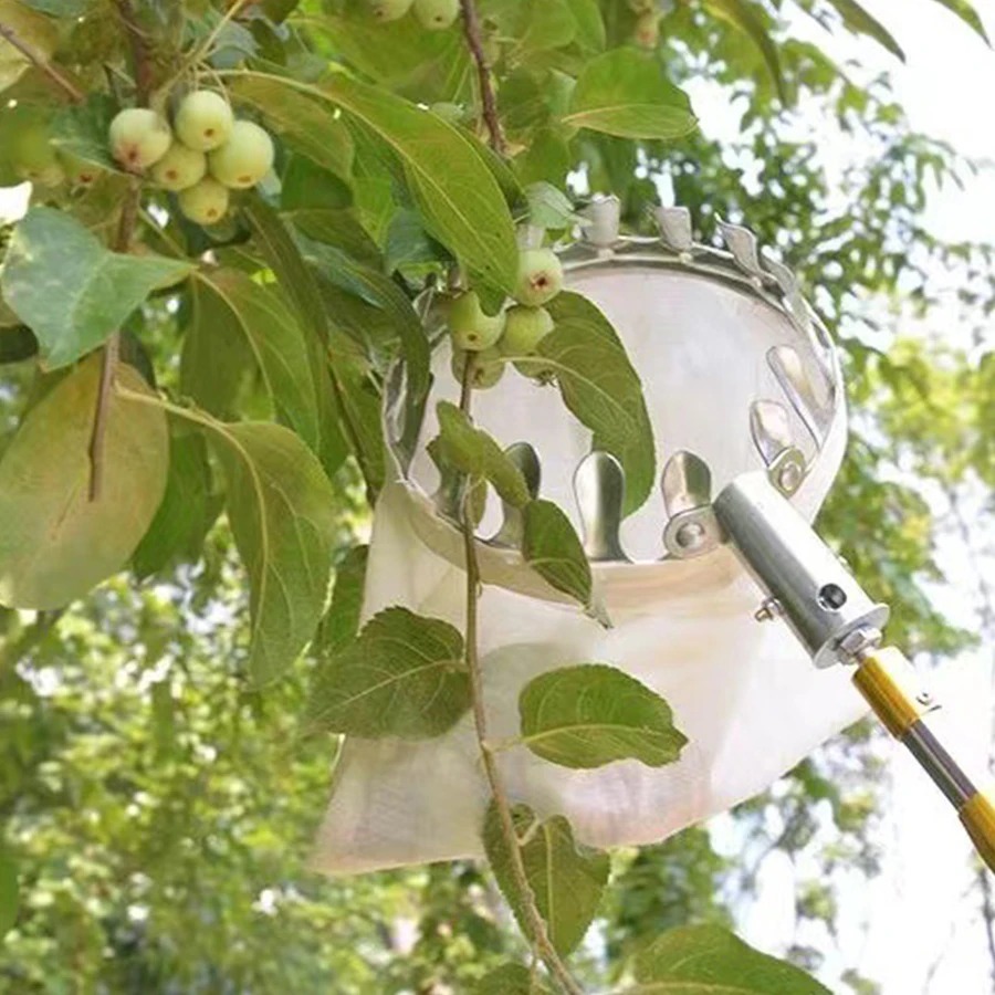 Professional Berry Picker Tool - огляд і ціна Gardening Tools Organizer