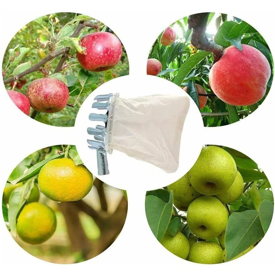 Professional Berry Picker Tool - огляд і ціна Gardening Tools Organizer