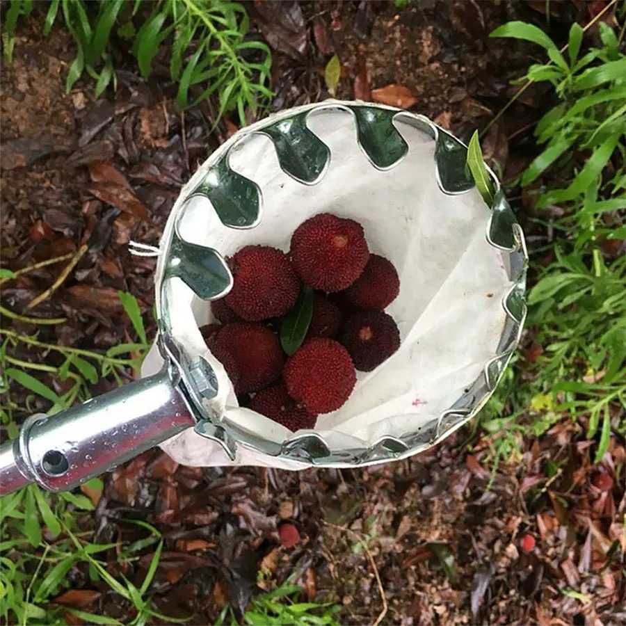 Professional Berry Picker Tool - огляд і ціна Gardening Tools Organizer